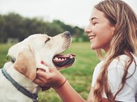 Familienhundeausbildung, Problemhundeberatung bei Familienhund Bavaria